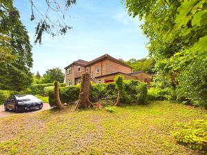 FRONT ASPECT VIEW- click for photo gallery